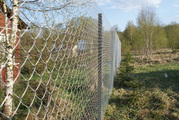 Забор из сетки рабицы,  КИЕВ - foto 2