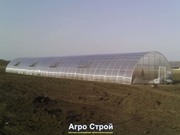 Теплицы с поликарбонатом от производителя. - foto 2