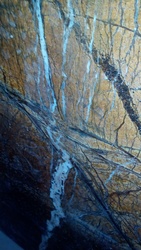 Создатель разукрасил мрамор многообразными тиснениями - foto 3