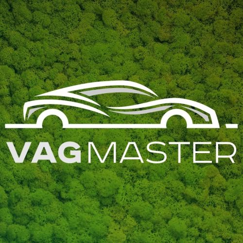 VAG Master