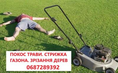 Покіс трави: Київ,  Київська область та Біла Церква. Швидко,  якісно,  до - main