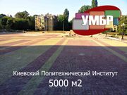 Тротуарна плитка – Купити в Києві - foto 2