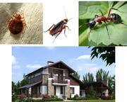 Обробка відкритих територій від кліщів,  комарів,  мурах та ін.