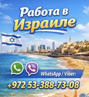 Работа в Израиле с гарантией легального трудоустройства и высоким доходом